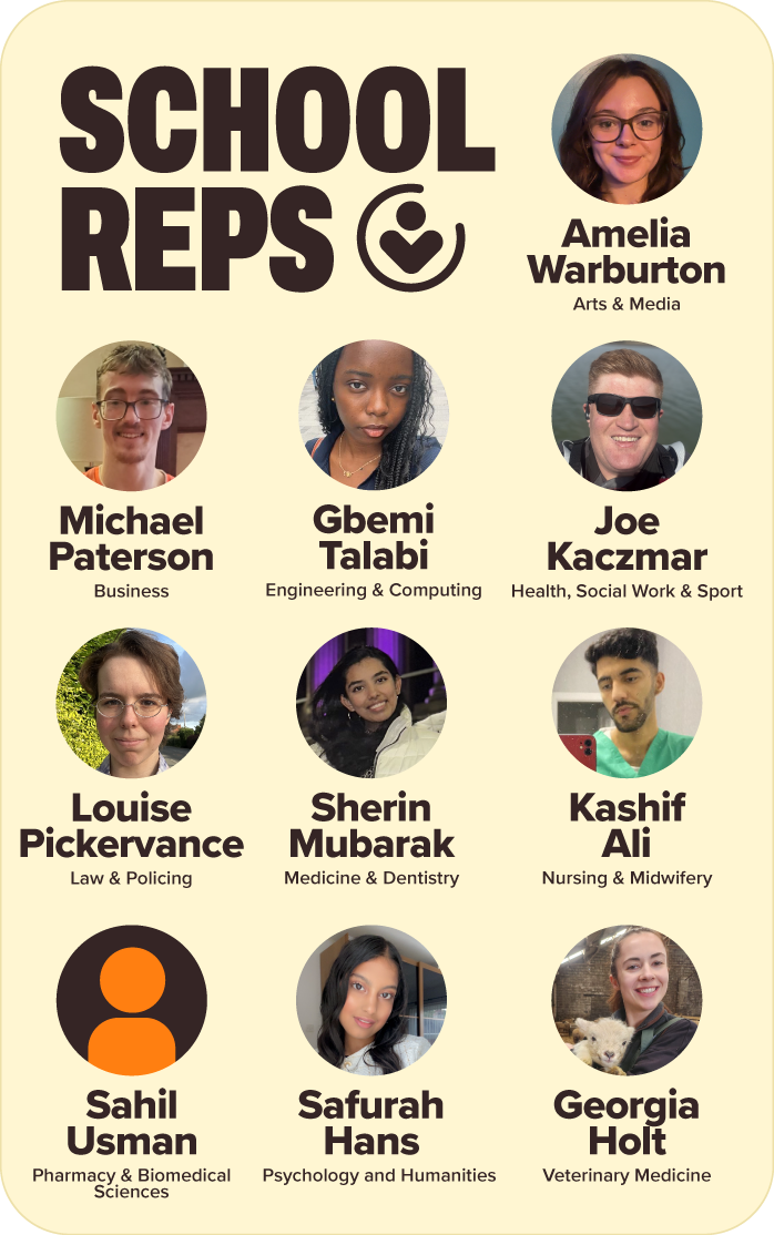 Diagram introducing the new School Representatives structure